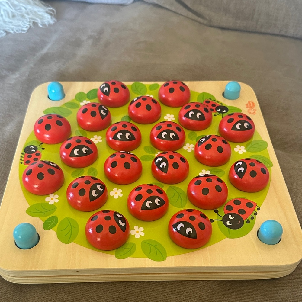Colorful Wooden Ladybug Memory Game for Kids